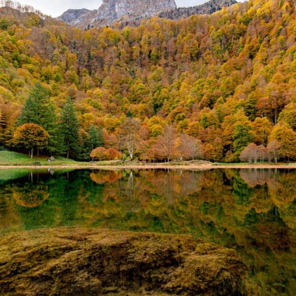 Obtenez le tirage "Lac ardent des Pyrénées" d'un lac de montagne reflétant les couleurs d'automne de la forêt sur les pentes de la montagne le surplombant