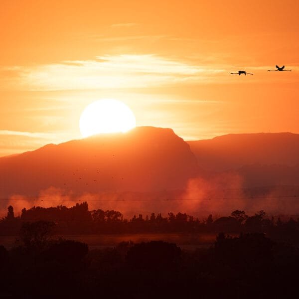 Tirage d'Art "Cieux embrasés" d'un coucher de soleil derrière un paysage embrumé avec des flamants roses volants