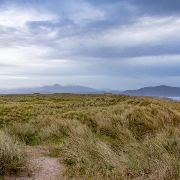 Obtenez le tirage "Textures natures" d'une plage couverte d'herbes hautes battues par le vent, les montagne à l'horizon et des nuages bleus dans le ciel