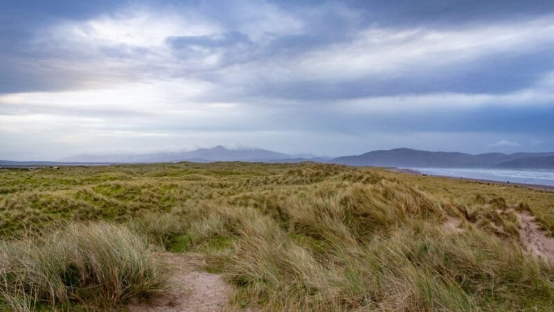 Obtenez le tirage "Textures natures" d'une plage couverte d'herbes hautes battues par le vent, les montagne à l'horizon et des nuages bleus dans le ciel