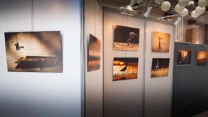 Photo d'une salle d'exposition mettant en scène ma série "Le chant des plumes"