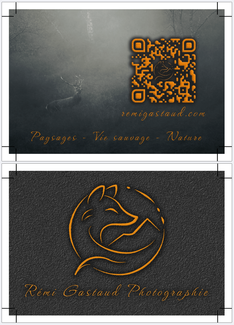 Fichiers des cartes de visite de Rémi Gastaud Photographie pour imprimeur avec guides de coupes