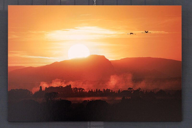 Tirage d'Art 40x60cm "Cieux embrasés" d'un coucher de soleil derrière un paysage embrumé avec des flamants roses volants