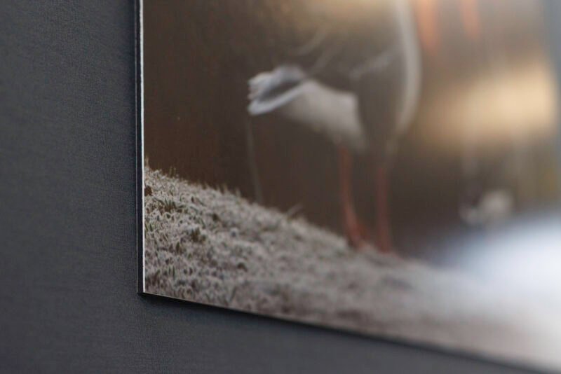 Tirage 40x60cm "Gouttes acrobatiques" - Photo du tirage illustrant la finition papier fine-art contre-collée sur Dibond alu 3mm
