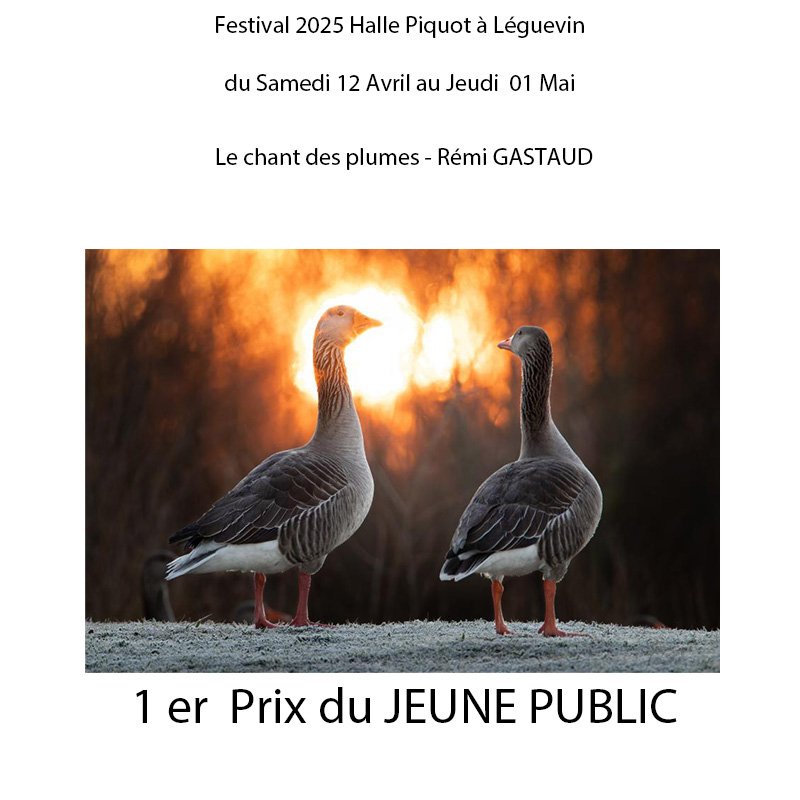 Premier prix discerné par les moins de 16 ans au festival Mai Photographique IBO 2025