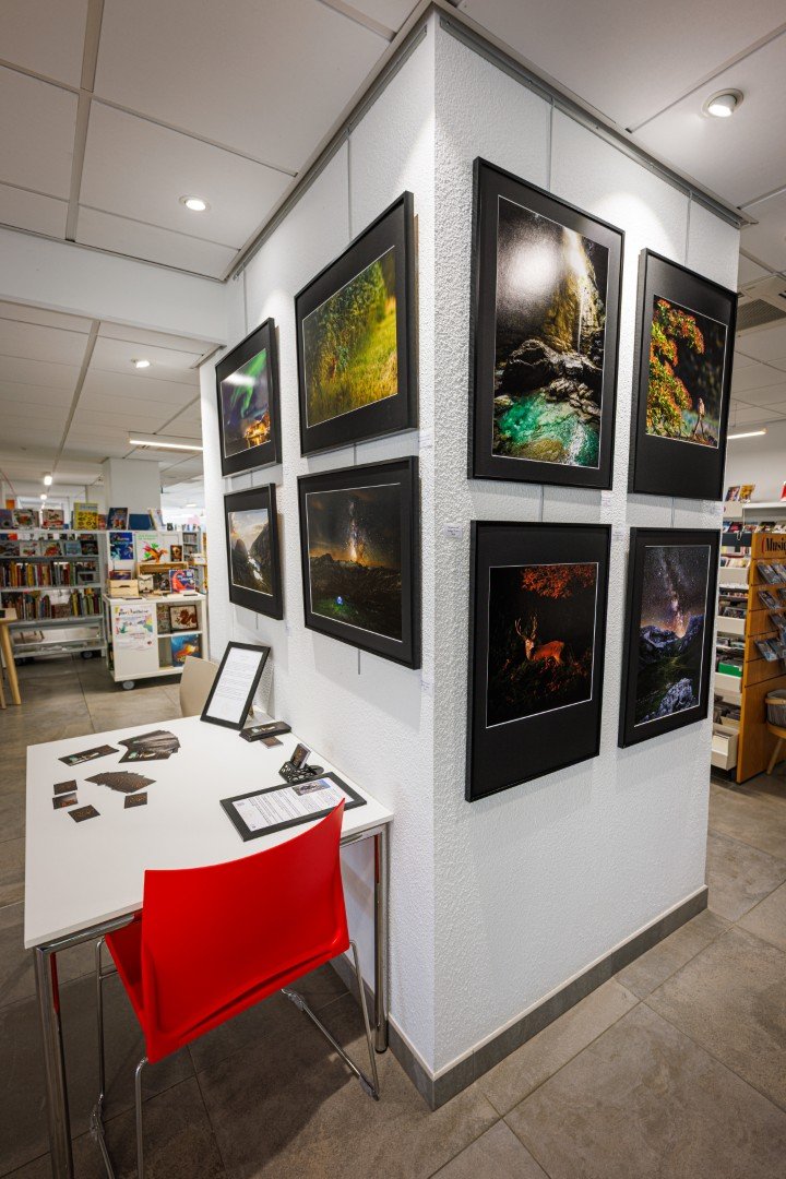 Exposition « Air de Terre » à Frouzins (31)