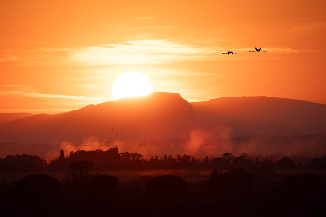 Tirage d'Art "Cieux embrasés" d'un coucher de soleil derrière un paysage embrumé avec des flamants roses volants